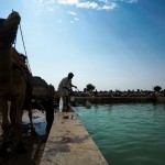 Pijalnia wody dla wielbladow