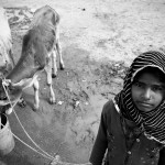 Dziewczynka z kozami