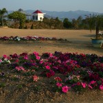 Kakching Garden