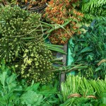 Churachandpur (Lamka)