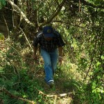 Okolice Khaikhy, przedzieramy sie przez las