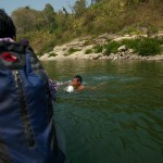 Zdechla ryba w naszych rekach