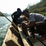 Zdechla ryba na naszej lodce