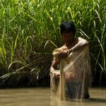 Lungbun, lowimy ryby