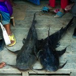 Lungbun, catch of the day