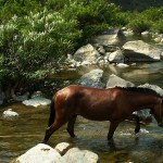 Lungbun, rzeka Kolodyne
