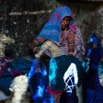 Kathputli Colony, a ta pani robi koniki z siana